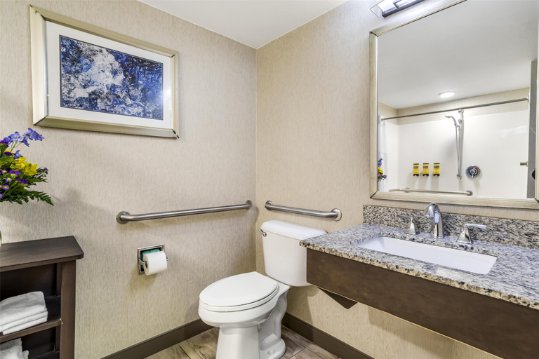Bathroom 4, Best Western Plus River Escape Inn & Suites, Jackson