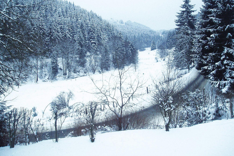 4, Ferienwohnungen in Winterberg, Hochsauerlandkreis