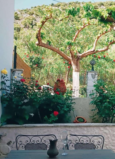 Others 4, Rose Hedge, Crete