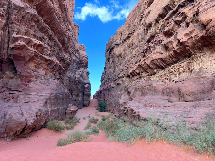 Others 5, Cozy Tent in Wadi Rum, Quaira
