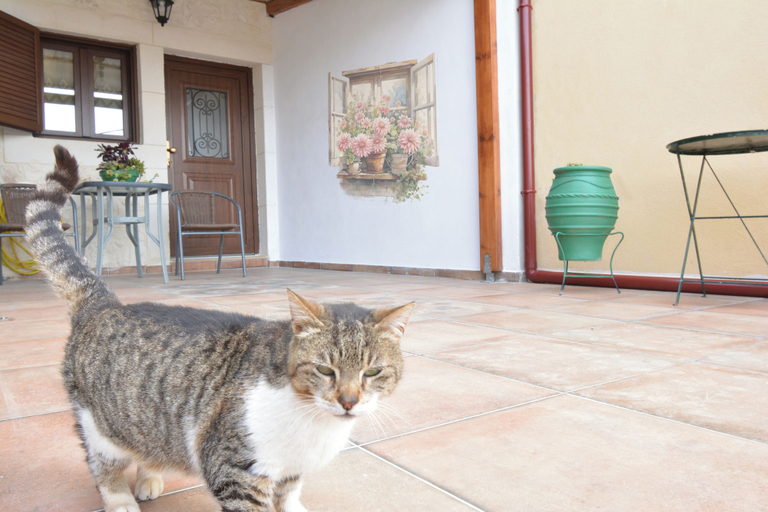 Others 3, Gioma Stone House by Checkin, Crete