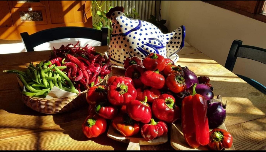 Food & Drinks 5, Il giardino di FraFa, Cagliari
