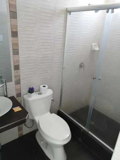 Bathroom 5, Inkayacu Vip, Pisco