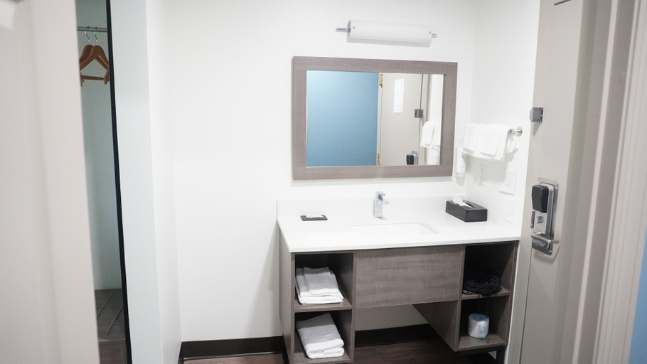 Bathroom 4, Sleep Inn Franklin - Cool Springs, Williamson