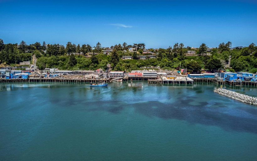 Exterior & Views 1, Surfer Dude - Anchor Pier Lodge, Lincoln