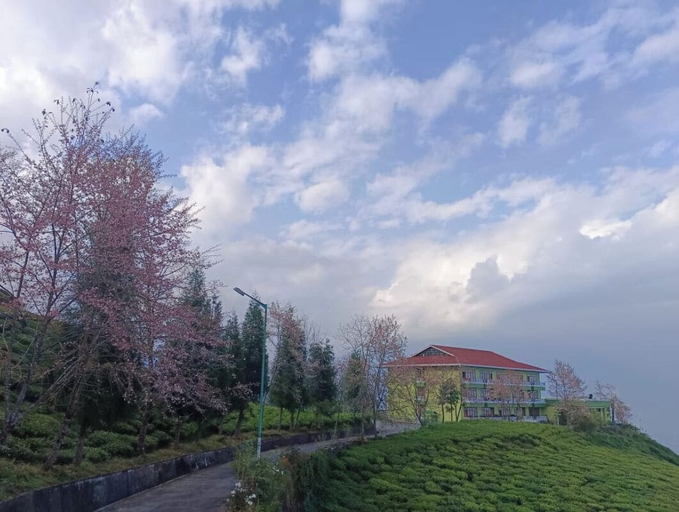 Others 4, Cherry Resort, South Sikkim