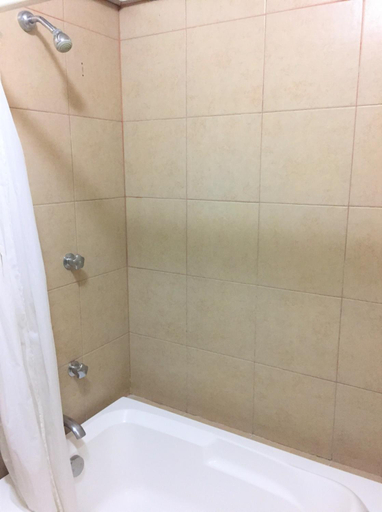 Bathroom 4, Hotel Villablanca, Tehuacán