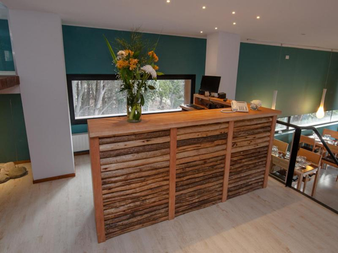 Public Area 4, Hotel Alto Traful, Los Lagos