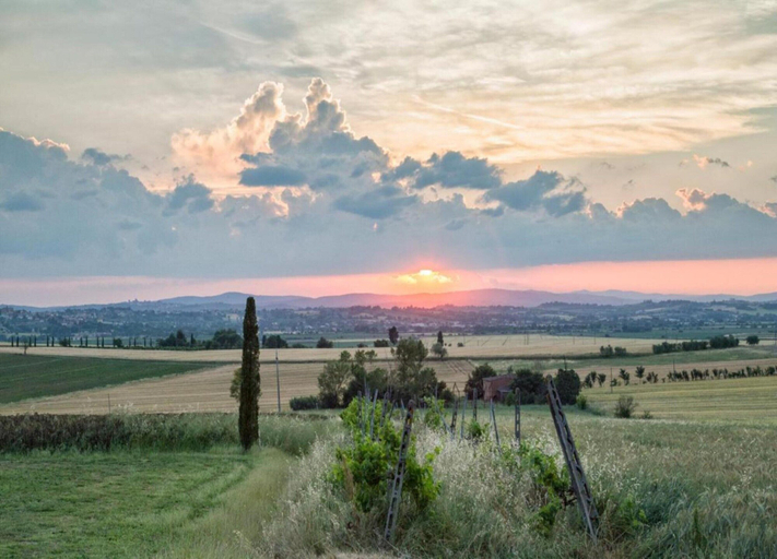 View from property 3, Tranquil Cortona Home, Arezzo
