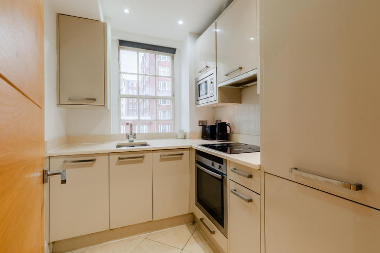 Others 4, Central Apartments near Marble Arch, London