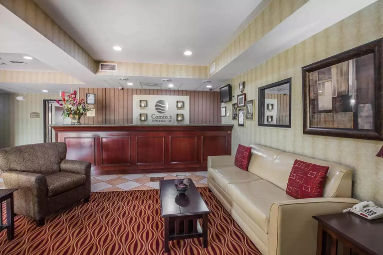 Public Area 2, Comfort Inn & Suites Griffin North, Spalding