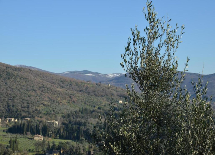 View from property 2, Tranquil Cortona Home, Arezzo