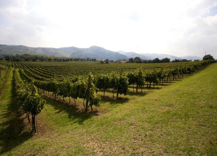 View from property 4, Spacious Holiday Home in Brisighella, Ravenna