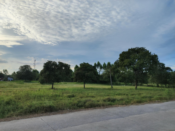 Others 4, De'La Moon, Muang Rayong