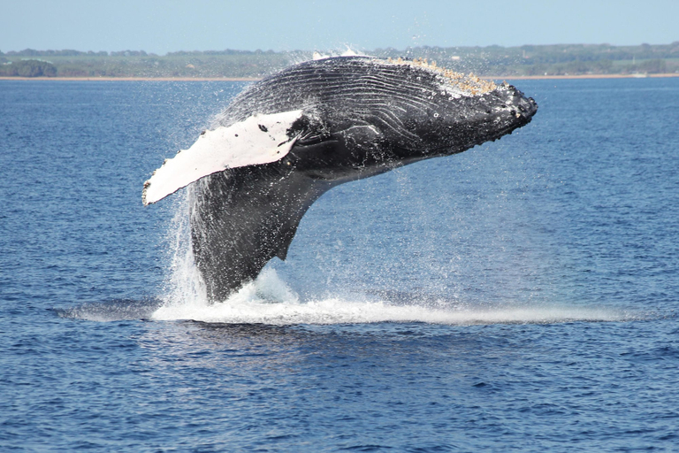 Others 5, Waikoloa Beach Villas P32, Hawaii