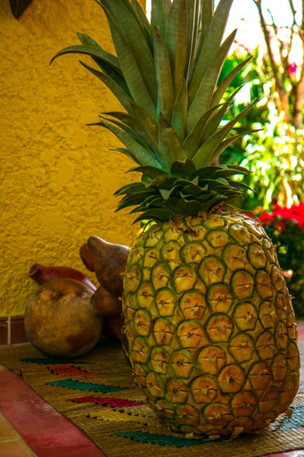 Food & Drinks 4, Hosteria Tonusco Campestre, Santa Fe de Antioquia
