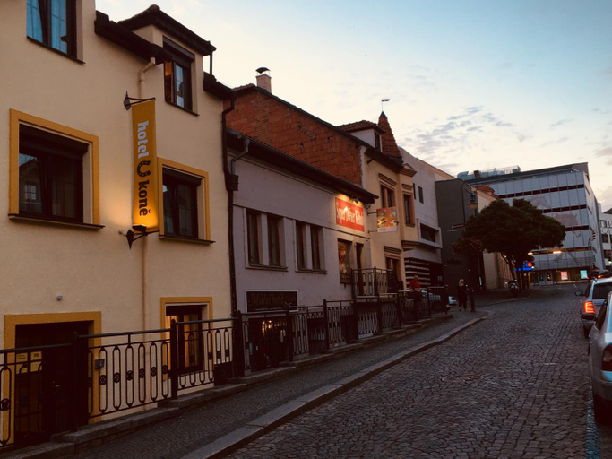 Others 5, Hotel U kone, Beroun