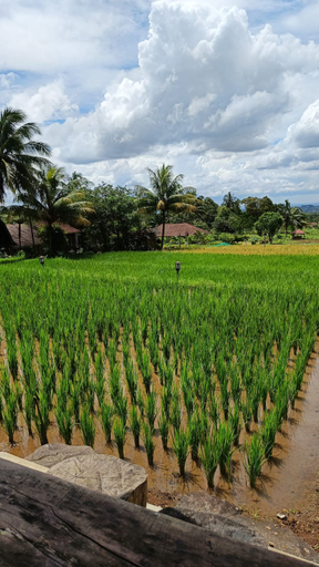 Scenery 6
