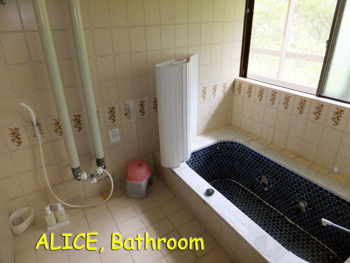 Bathroom, Cottage White Rabbit Madarao Kogen, Myōkō