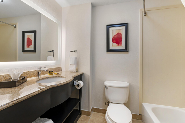 Bathroom 4, Best Western Plus JFK Inn & Suites, Pulaski