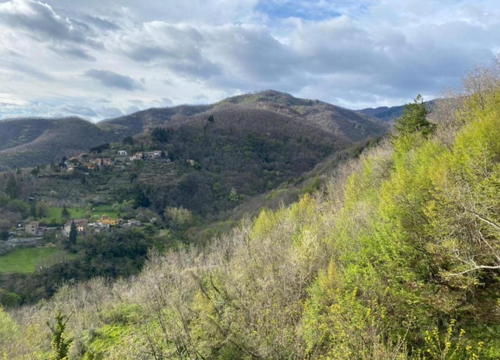 View from property 2, Serene Farmhouse in Dicomano With Swimming Pool, Florence