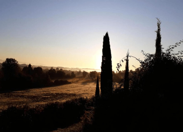 View from property 3, Belvilla by OYO Mandorlo, Siena