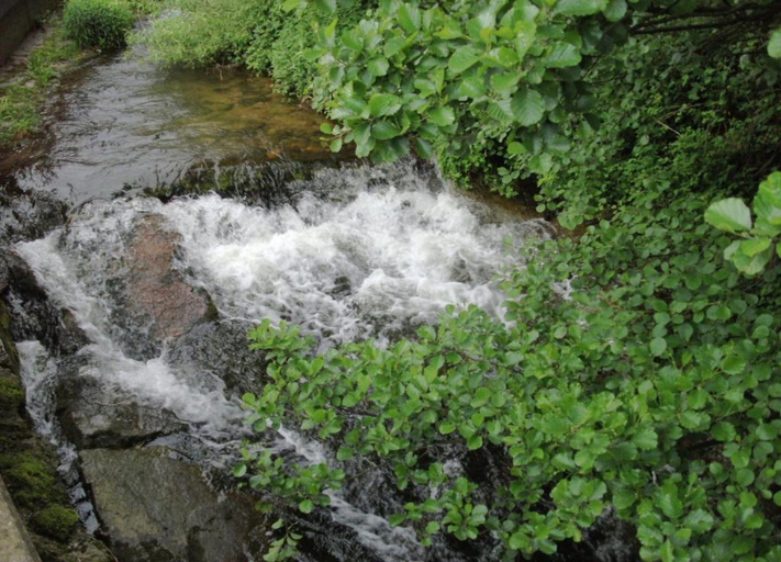 Others 5, Schwarzwald-ferienwohnung auf dem Bauernhof, Ortenaukreis