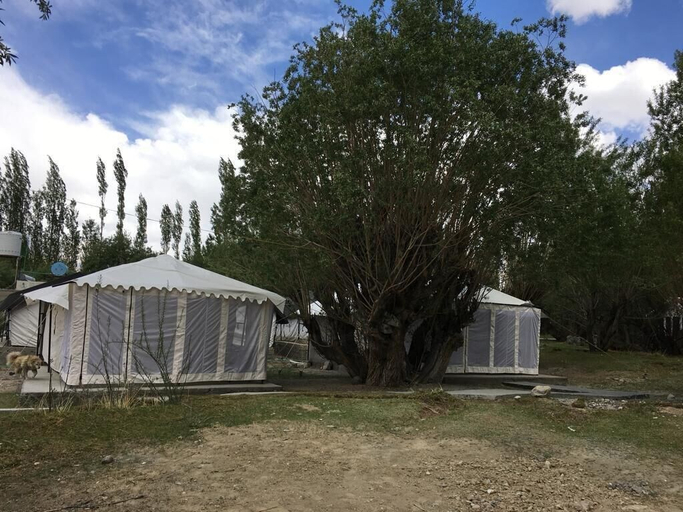 Exterior & Views 2, Nubra Summer Camp, Leh
