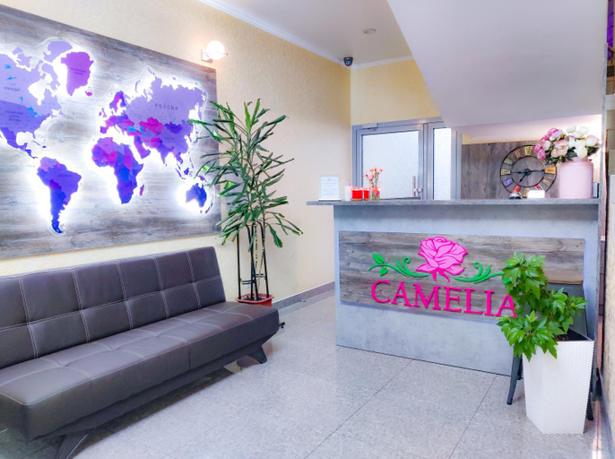 Public Area, Hotel Camelia, Anapskiy rayon