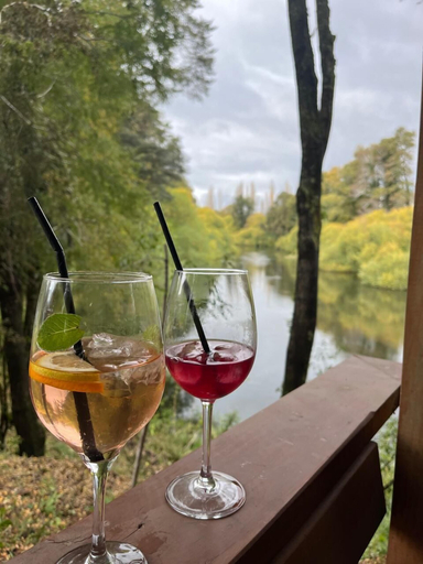 Food & Drinks, Alto Terralis, Cautín