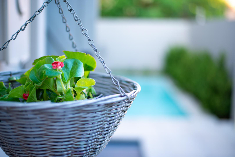 Food & Drinks 4, 53A Luxury Bed & Breakfast, Gaborone