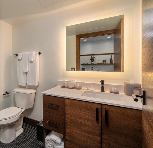 Bathroom 5, Juniper Preserve, Deschutes