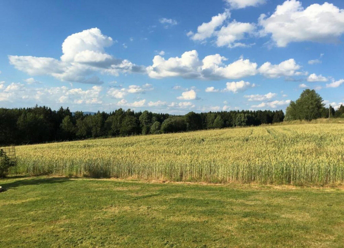 View from property 3, Alluring Apartment in Schonsee in the Forest, Schwandorf