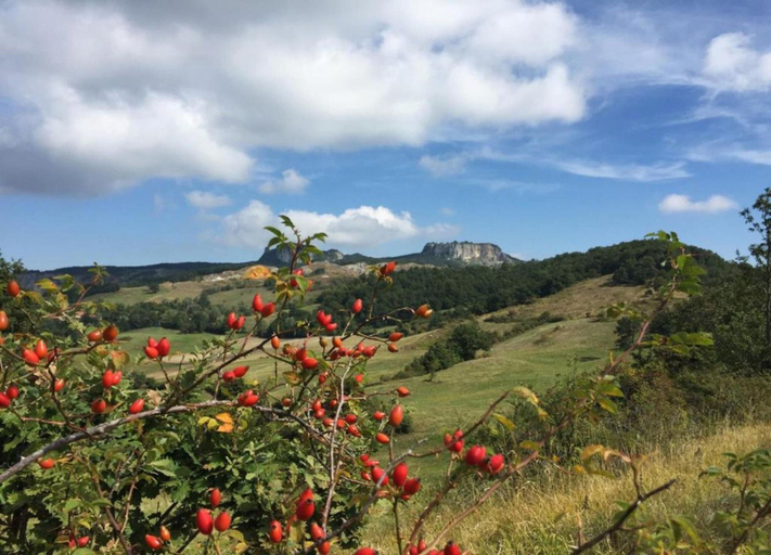 View from property 2, Beautiful Apartment in Sestino With Garden, Arezzo