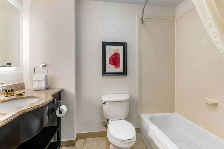 Bathroom 5, Best Western Plus JFK Inn & Suites, Pulaski