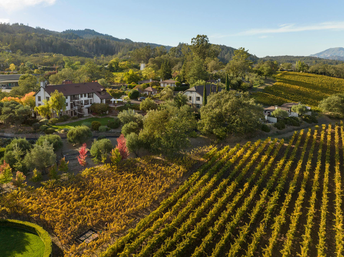 Others 3, Le Petit Pali St Helena, Napa
