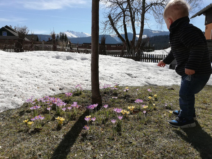 Others 2, Alpine Family Retreat in Bad Mitterndorf, Liezen