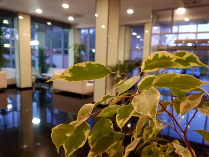 Public Area 4, Spa Hotel Ata, Varshets
