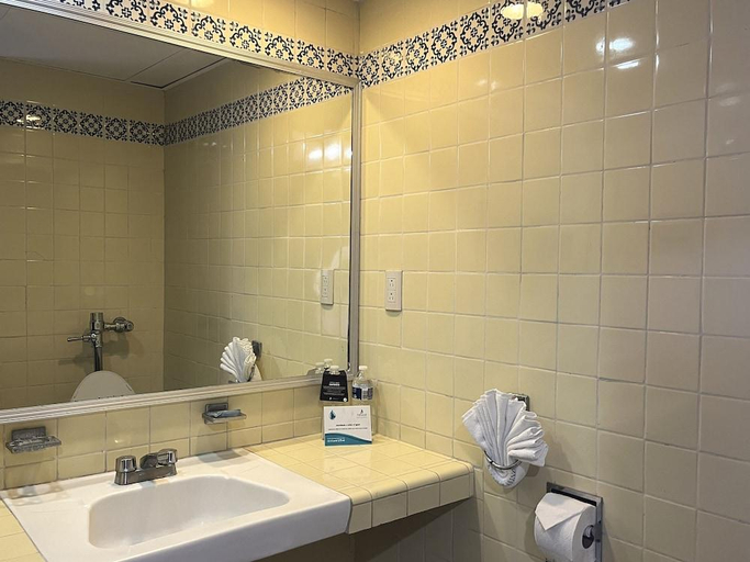 Bathroom 4, Delfin Beachfront Resort - Downtown Puerto Vallarta Optional All-Inclusive, Puerto Vallarta