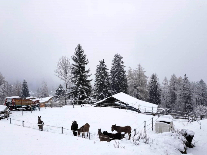 Others 5, Chalet Verrel near Aletsch Ski Gondolas, Goms