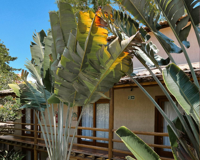 Exterior & Views 1, Ravenala Hotel, Porto Seguro