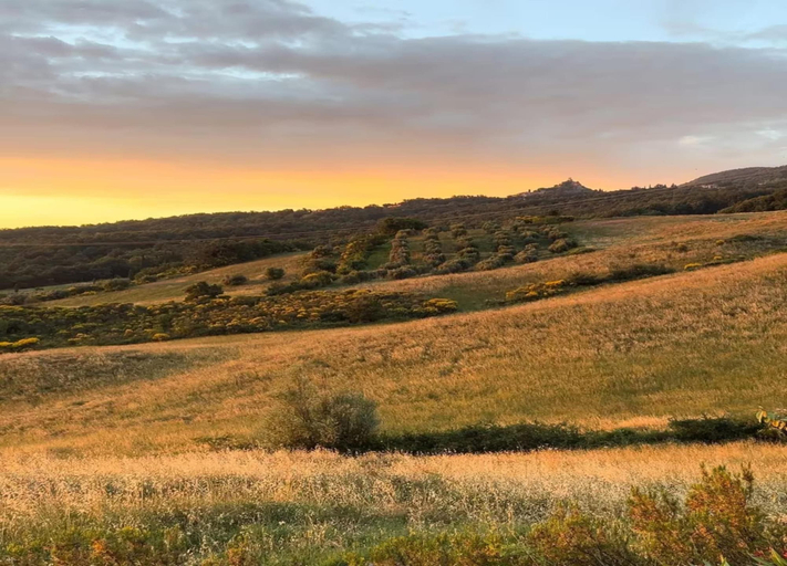 View from property 5, Cozy Villa for Six Guests, Siena