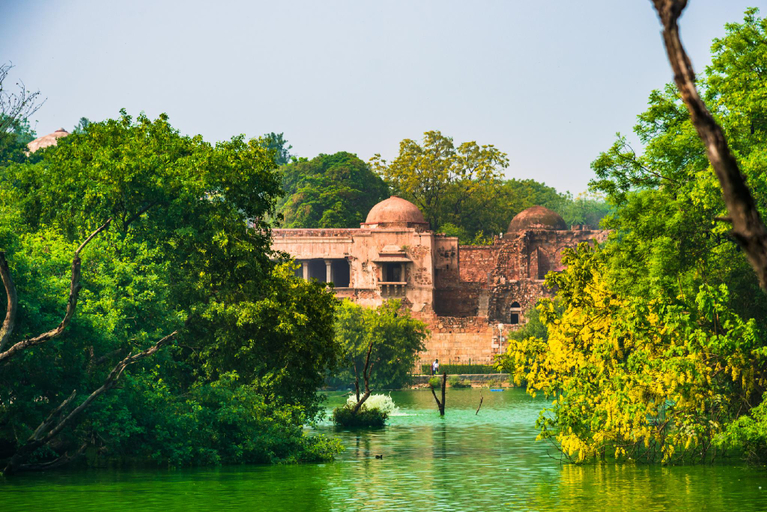 Nearby Landmark, V. M Residency , Delhi