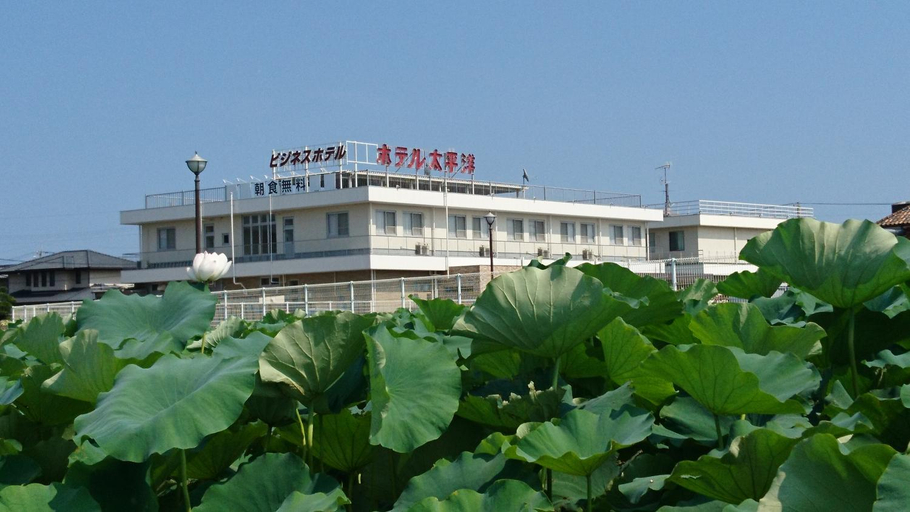 Others 2, Hotel Taiheiyo, Matsushige