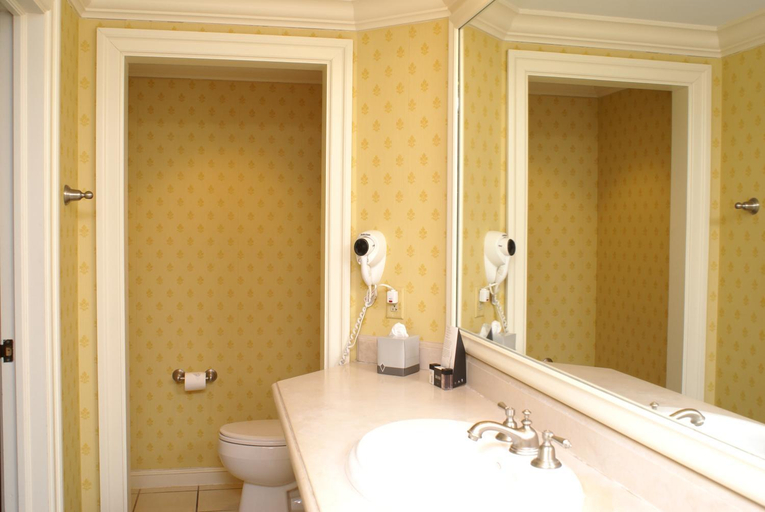 Bathroom 4, Columbia Club, Indianapolis