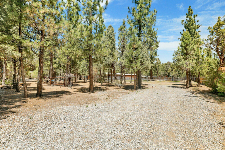 Others 5, ONE Hundred Pines Ranch #2005, San Bernardino