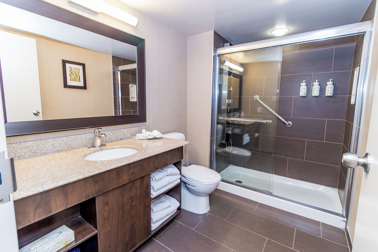 Bathroom 4, Victoria Inn Hotel Convention Centre Brandon, Division No. 7