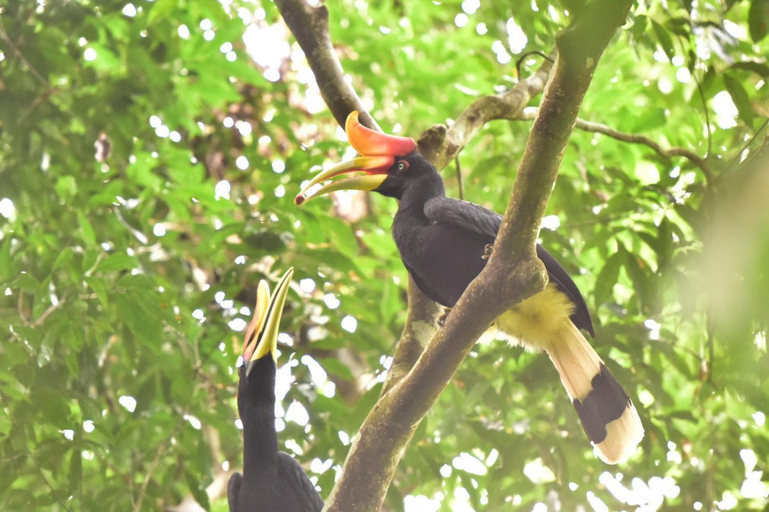 Others 5, Leuser Inn, Langkat