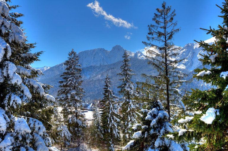 Others 5, Willa Cztery Pory Roku, Tatra