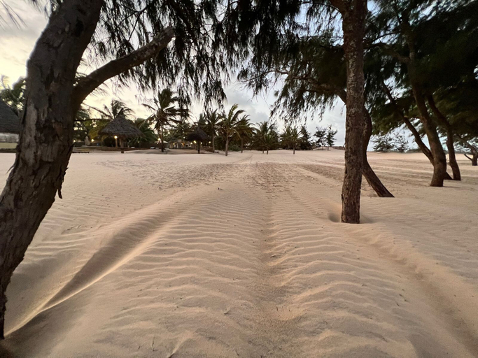 Others 3, Kijani Paradise, Malindi